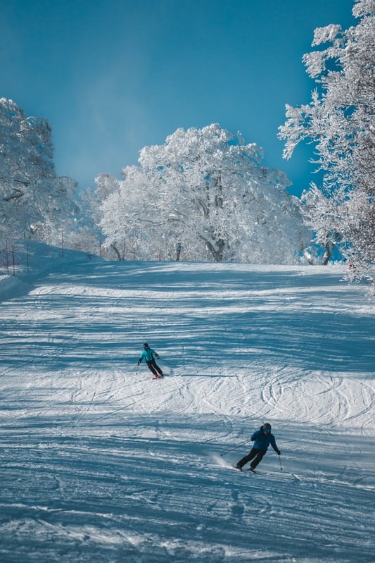 Skiers carving through pristine powder on a bluebird day
